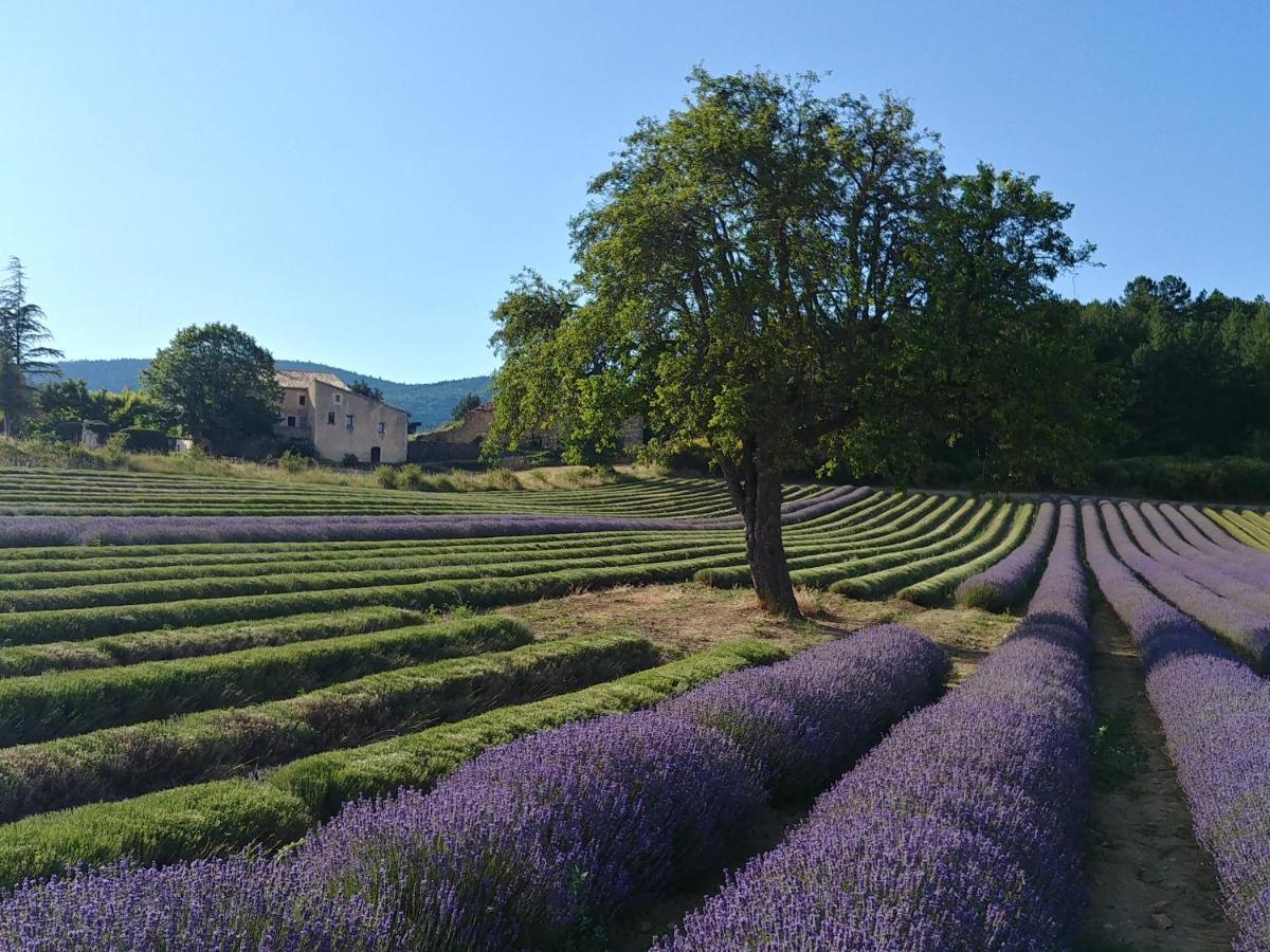 Le Mas Des Lavandes Sault Exterior foto